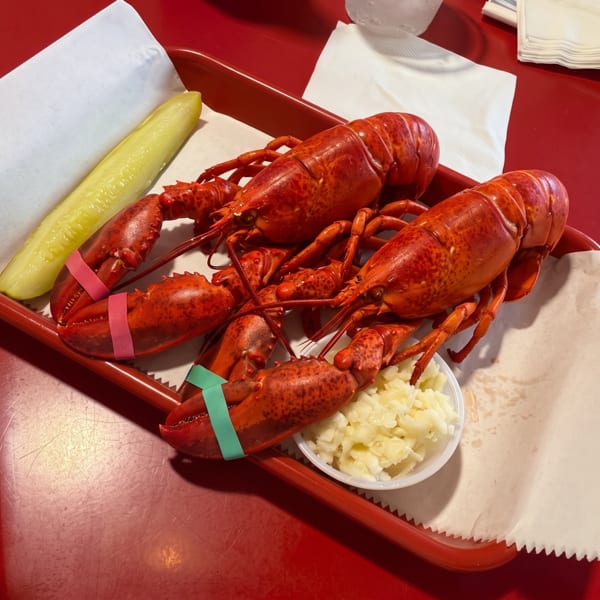 Two whole cooked lobsters with a pickle spear and coleslaw on a red tray.
